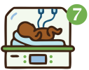 NICU Icon